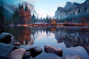 snow covered mountain over body of water and trees wallpaper, mist, trees, river, mountains