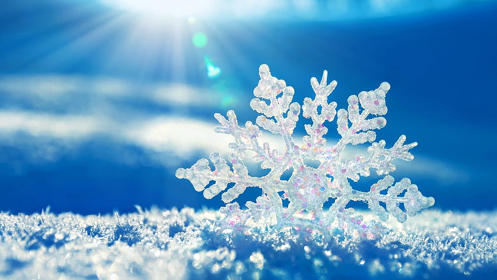 snow flake at daytime HD wallpaper