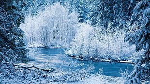blue and white concrete house, nature, river, winter