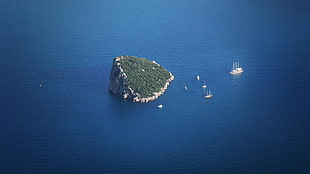 aerial photograph of islet