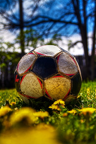 selective focus photography of white and black soccer ball on grass HD wallpaper