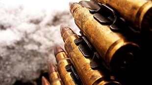 brass-colored bullets close-up photography