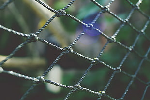 gray metal fence in macro photography