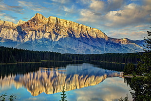 green trees beside lake forest near mountain at daytime