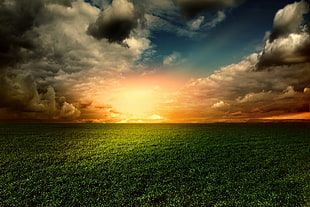 green grass during sunset, grass, clouds HD wallpaper