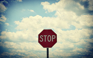 red and white Stop road signage HD wallpaper