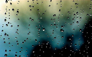 macro shot of water droplets HD wallpaper