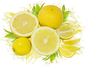yellow slice American lemon
