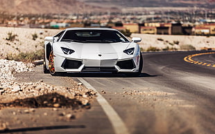 white Lamborghini Aventador
