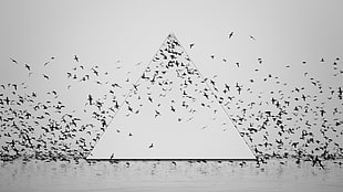 white and gray pyramid wallpaper, artwork, birds, monochrome, flying