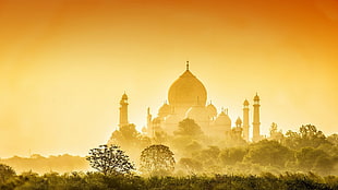 grey mosque, Taj Mahal, trees HD wallpaper