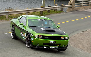 green Dodge coupe, car, green cars, Dodge Challenger SRT8 HD wallpaper