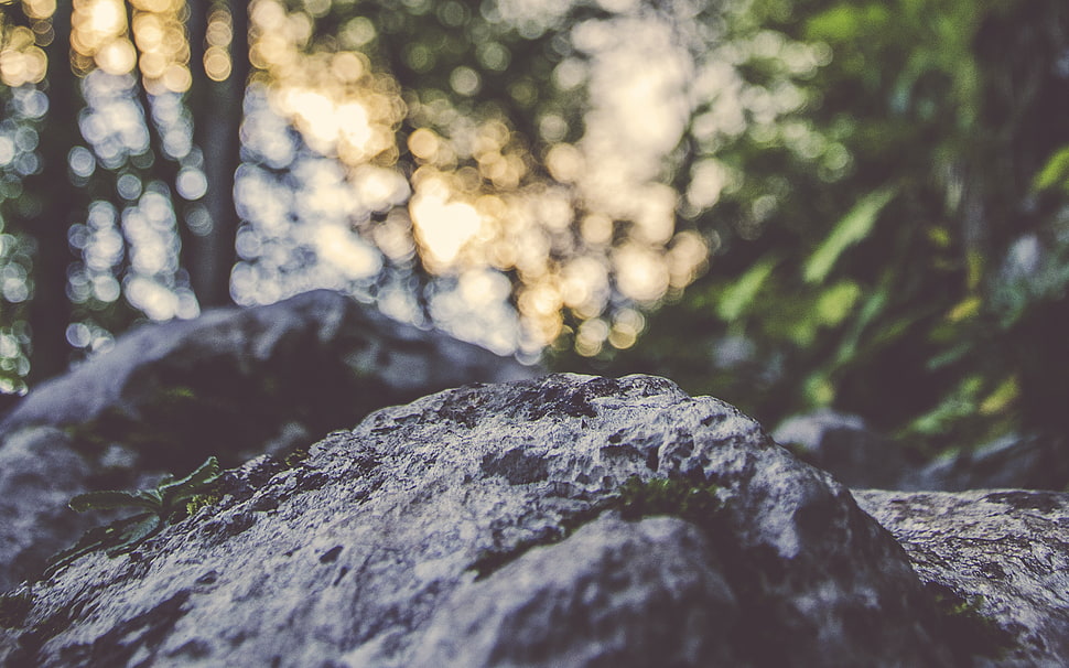 gray rock HD wallpaper
