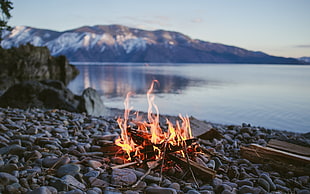 bonfire, nature, lake, fire