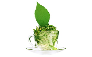 clear plastic mug with green vegetable