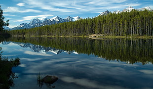 lakeside with trees and snowfield mountain hills under cloudy sky at daytime