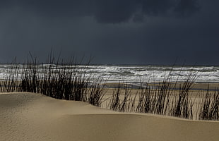 beach during storm