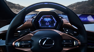 black Lexus vehicle steering wheel