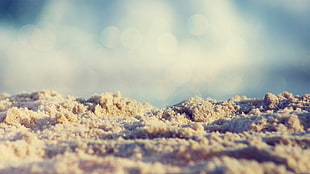 grain of sand, depth of field, sand
