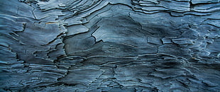 grey wooden surface