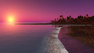 calm body of water, water, beach, palm trees, sunlight HD wallpaper