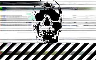 black and white skull digital wallpaper, skull, glitch art, digital art