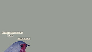purple and red bird painting, quote, humor, minimalism, A Softer World
