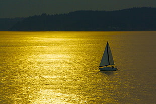 white boat in sea while in sunset