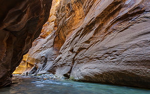 gray rock formation, canyon, The Narrows, Zion National Park HD wallpaper