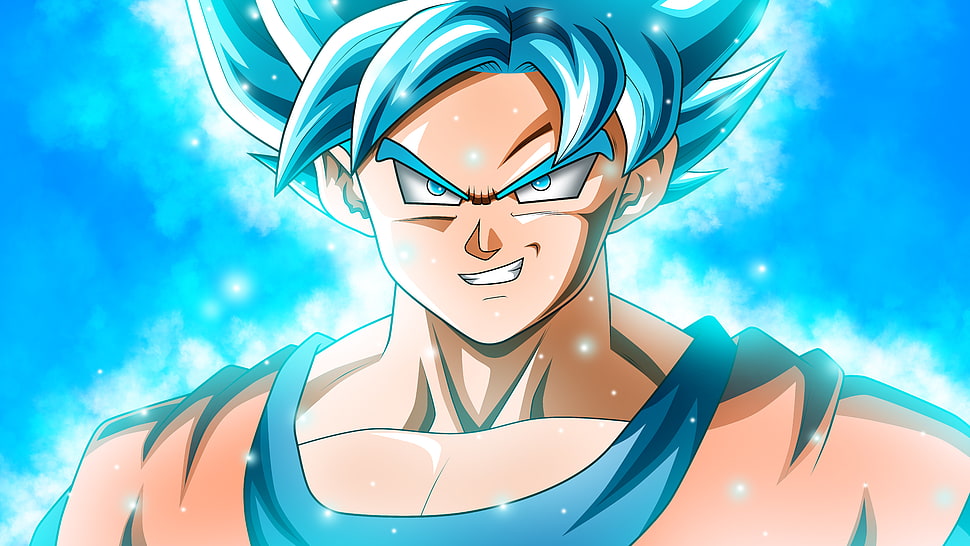 Super Saiyan Blue Son Goku digital wallpaper HD wallpaper