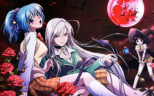 anime digital wallpaper, Rosario + Vampire, Akashiya Moka, Kurono Kurumu, Sendo Yukari