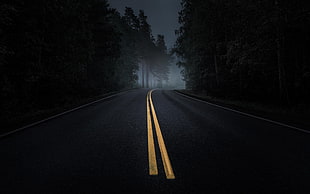 black and white wooden table, road, mist, dark, trees HD wallpaper