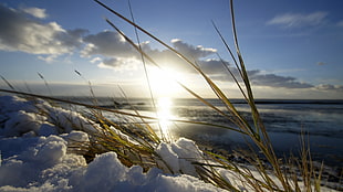 grass covered by snow near body of water under blue skies at daytime