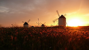 green field, sunset, windmill, field HD wallpaper
