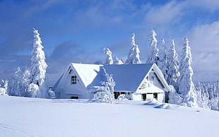 snow-covered cabin photo, cabin, hut, winter, snow HD wallpaper