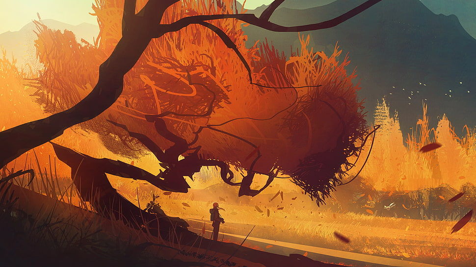 man under brown tree illustration HD wallpaper