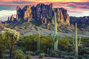 landscape photo of rock mountain, superstition mountains