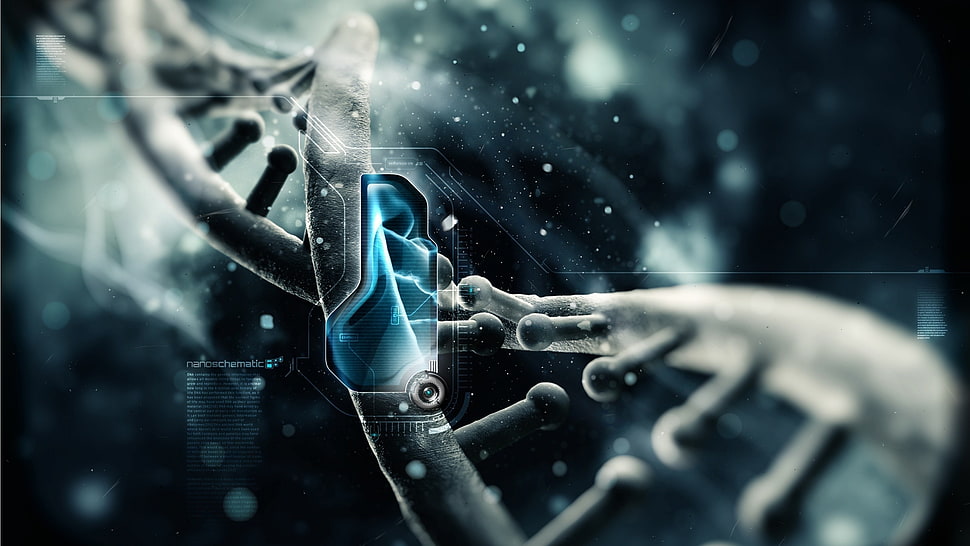 microbs macro photography, digital art, science HD wallpaper