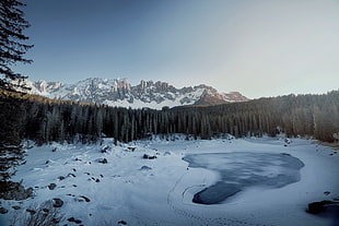 snow-capped mountain and pine trees, winter, lake, forest, mountains