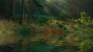 trees near body of water painting