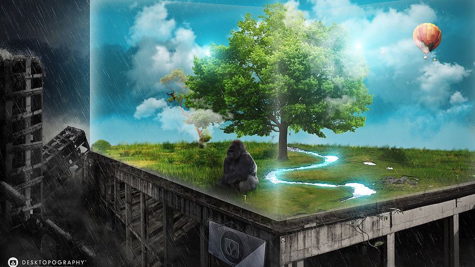 Desktopography, nature, cubic, monkey HD wallpaper