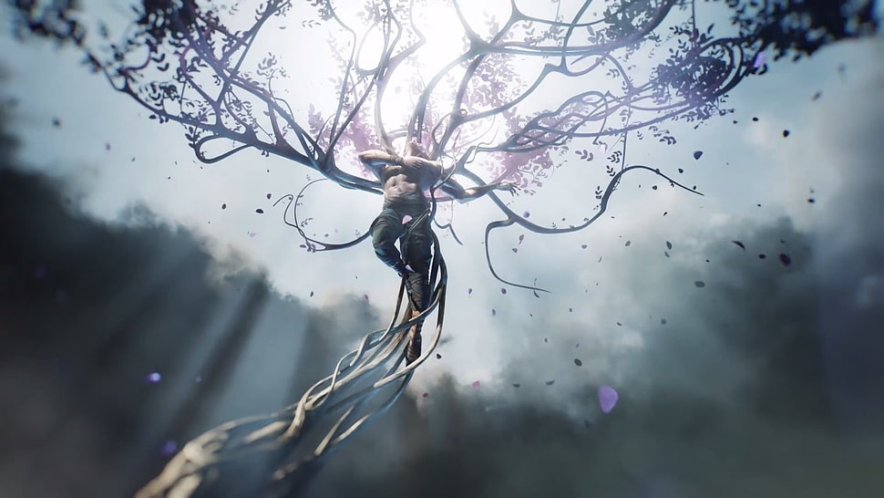 tree animated wallpaper, Virtuoso HD wallpaper