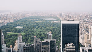 white and black glass building, cityscape, New York City, Central Park, skyscraper