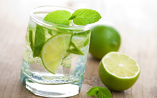 slices of lemon and mint leaf on glass HD wallpaper