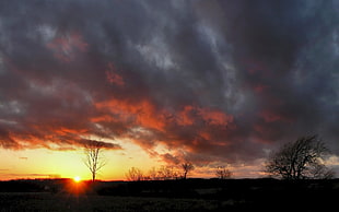 silhouette photography of open field HD wallpaper