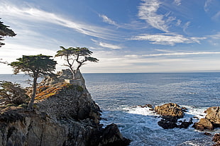 cliff near body of water under white cloudy sky during daytime, lone cypress, monterey