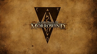 The Elder Scrolls III Morrowing, The Elder Scrolls III: Morrowind, The Elder Scrolls, video games