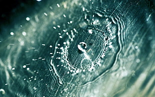 closeup photo of water droplet HD wallpaper