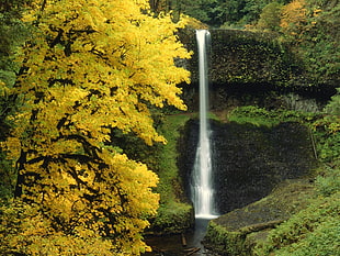 elapse photography of waterfalls