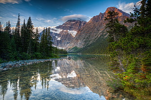 body of water surrounded with pine trees, landscape, nature, mountains, reflection